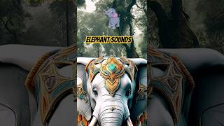 Elephant Noises shorts  🐘Elephant Sounds animalsoundeffects [upl. by Ettenawtna]