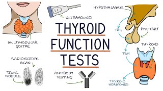 Understanding Thyroid Function Tests [upl. by Dalila]