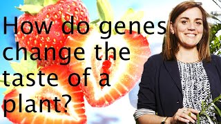 Genome duplication polypoidy amp plant traits  Kathy Willis 🧬🍓 [upl. by Cahn]