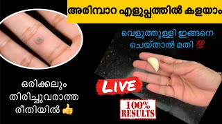 അരിമ്പാറ എളുപ്പത്തിൽ വേരോടെ കളയാം  arimpara removal malayalam home remedy  warts removal [upl. by Anele]