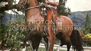 Los Mejores Caballos TROTONES GALOPEROS De La Historia [upl. by Ainit]