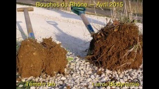 Ulrich Schreier  Partie II  Agriculture Biodynamique [upl. by Eentrok]