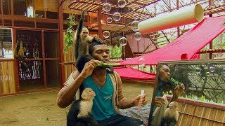 Monkeys Play with BUBBLES  BBC Earth [upl. by Ravel736]