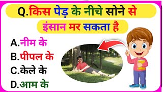 Kis Ped Ke Niche Sone Se Aadmi Mar Jata Hai  Gk Questions And Answers  Gk Quiz  GK AGAIN [upl. by Adnovad]