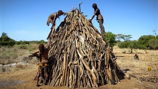 A House from Forest Sticks  Full Build  Hamer of Ethiopia [upl. by Lewej268]