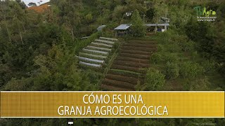 Como es una granja agroecologica  TvAgro por Juan Gonzalo Angel Restrepo [upl. by Freud]