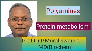 Polyaminesprotein metabolism Muralis Simplified Biochemistry [upl. by Acissey]