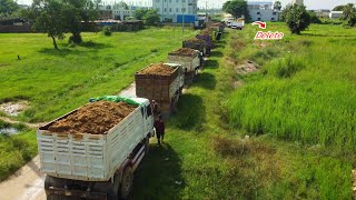 FIRST New project by Skill Dump Truck 5T Fill Land amp Dozer D31P KomAtsu Push Soil Unloading [upl. by Aldas]