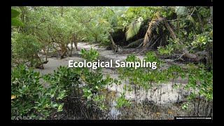 Ecological sampling [upl. by Argus]