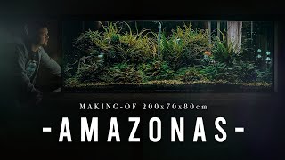 INCREDIBLE 1000L Amazon Aquarium build  XXL Step by Step Tutorial  Planted Tank [upl. by Alexandra]