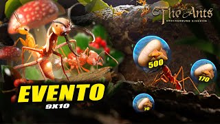 🆕 Tendremos suerte en el 910 🌏The Ants UK🐜 [upl. by Kellia]