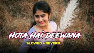 Hota Hai Deewana SlowedReverb New Hindi Song 2024 [upl. by Chasse]