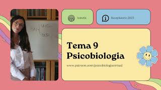 TODAS las preguntas tema 9  PSICOBIOLOGIA UNED 2023 [upl. by Gretna]