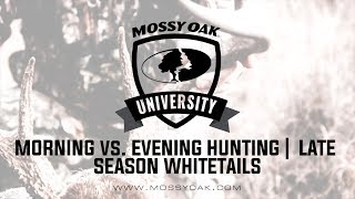 Morning vs Evening Hunting  Late Season Whitetails [upl. by Nylecaj]