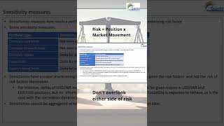 Understanding Risk Factors Market Movement amp Position Impact in Hedging [upl. by Knudson539]