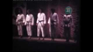 Early 1970s RITA TaekwonDo Demonstration in Wexford [upl. by Damicke472]