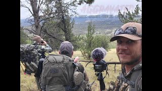 AGGRAVATED  Self Guided Public Land Elk Hunt PART 2 [upl. by Eniamart]