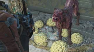 How to find a second dog companion called sparcky FALLOUT 4 [upl. by Nonahs]