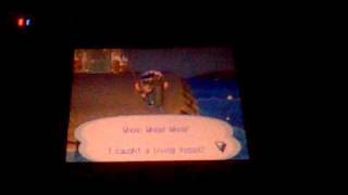 Animal Crossing Wild World  Catching a Coelacanth while Snowing [upl. by Sherj560]