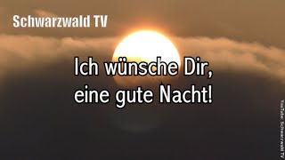 🌞 Lass die Sonne in Dein Herz 💖 Schönen Abend 🌻 WhatsApp Grussvideo kostenlos zum Verschicken [upl. by Ocker]