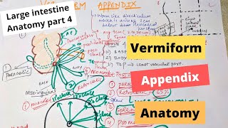 VERMIFORM APPENDIX ANATOMY  LARGE INTESTINE ANATOMY PART 4 [upl. by Ailis998]