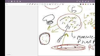 Lysosome amp Peroxisome Histology [upl. by Gorrono464]