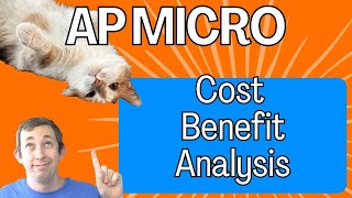 Understanding CostBenefit Analysis  AP Micro Struggle 15 [upl. by Stanton]