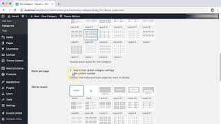 Category options override  Herald WordPress theme [upl. by Nawd177]