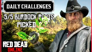 Daily Challenges  55 Burdock Roots Picked I RDR2 Online Burdock Roots Location [upl. by Eudora]