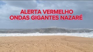 AVISO VERMELHO  RED ALERT  NAZARÉ FEVEREIRO 2024 [upl. by Ennylcaj379]