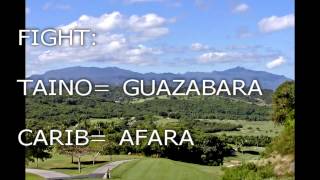 The History amp Languages of the Indigenous Island Natives Lesser amp Greater Antilles [upl. by Nileek]