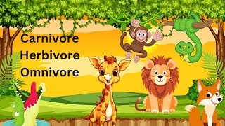 Carnivore herbivore omnivore Animals [upl. by Nitnerb]