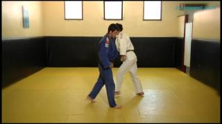 Judo 10 Técnicas de proyección de brazo o de hombro te waza [upl. by Ahcsas]