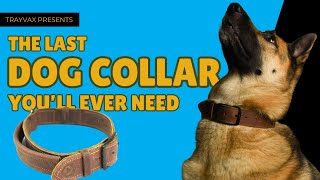 The Last Dog Collar You Will Ever Need [upl. by Airdnaxila]