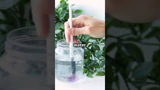 How to make natural Air Freshener diy facts top shorts viralvideo [upl. by Rowena]