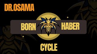 Born Haber Cycle [upl. by Orford566]