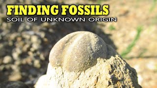 Finding Fossils  Soil of Unknown Origin [upl. by Misa]