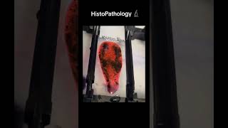 Histology histopathology mywork science interesting job biopsies medical [upl. by Okomom435]