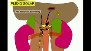 PLEXO SOLAR 3 [upl. by Ernesta]