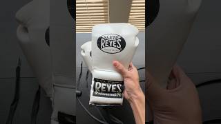 My Custom Boxing Gloves [upl. by Janetta]