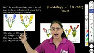 NEET 2024  Identify the type of flowers based on the position of calyx corolla and androecium with [upl. by Fidelis]