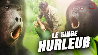 LE SINGE LE PLUS BRUYANT DU MONDE  Documentaire Animalier [upl. by Elenaj]