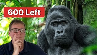 10 Animals Going EXTINCT Shocking [upl. by Hareehahs]