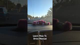 Learn How To Drive Manual mentalhealthawareness mentalhealthsupport mentalhealthselfcare goforit [upl. by Tegdirb]