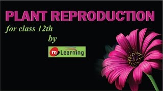 PLANT REPRODUCTION  1 For Class 12th and AIPMT [upl. by Hillell]