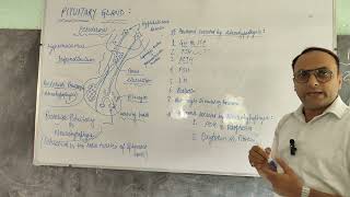 PITUITARY GLAND IN DETAILS PART 1 [upl. by Swithin]