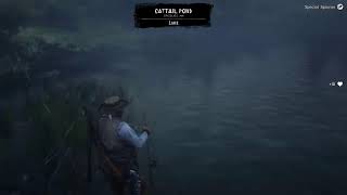 BOUNTY APA NATURALIST  RED DEAD ONLINE [upl. by Aisak633]