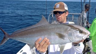 Epic Topwater Amberjacks and Huge Bull Sharks [upl. by Vivianne823]