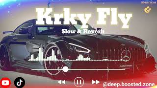 Krky Fly Slow amp Reverb  Ma krky fly aa wan jad main bola wan  New Latest Punjabi song [upl. by Aydan]