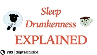 Sleep Drunkenness Explained [upl. by Nannerb334]